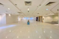 Orchard Emerald Centre (D9), Shop House #459037551